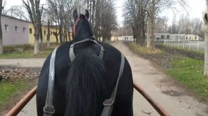 Лошадь в качалке