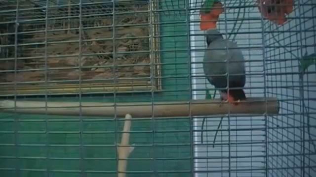 Маруся знает смотреть онлайн