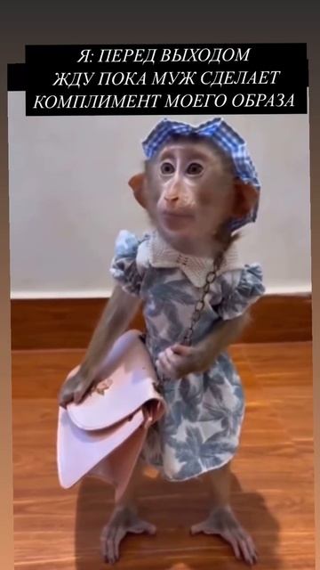 юмор