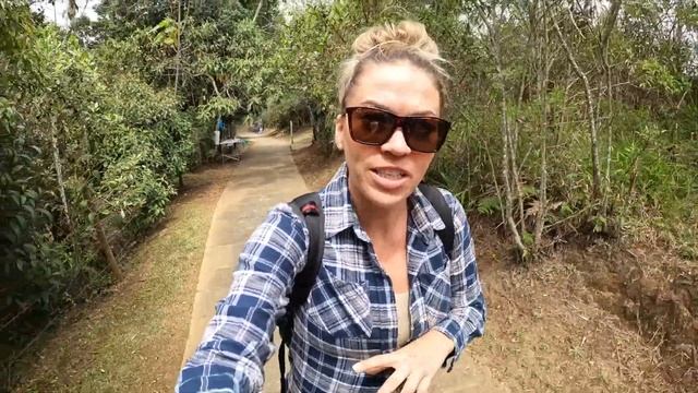 THINGS TO DO IN MEDELLIN - (Parque Arvi & Medellin Nightlife) смотреть онлайн