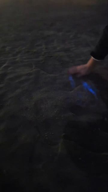биолюминесценция водорослей смотреть онлайн