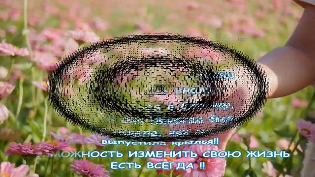 ЦИТАТЫ смотреть онлайн