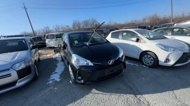 ЦЕНЫ НА АВТО 8.02.24 ЗЕЛЕНЫЙ УГОЛ #подборавто #автоэксперт #помощьприпокупке #подборавтомобиля #авт смотреть онлайн