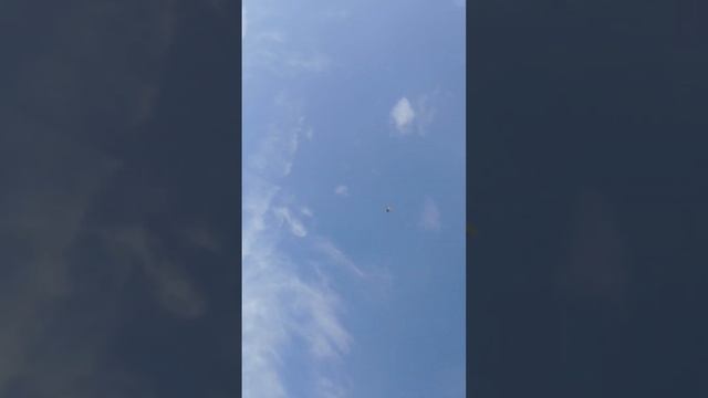 Показываю мраморных человеку. смотреть онлайн
