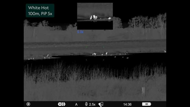 Example Footage | Pulsar Telos XP50 Thermal Imaging Camera смотреть онлайн