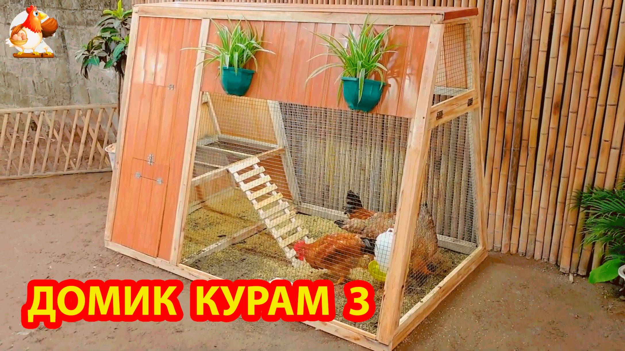 Курятник 3 для дачи или в сад на лето ❣️🥰🤗