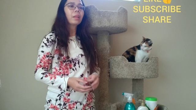 What scents and smell are harmful to animals? смотреть онлайн