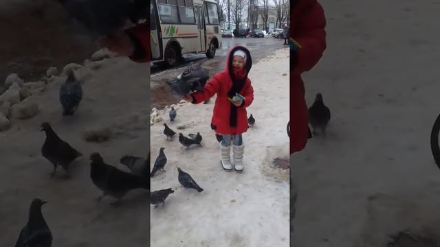 13 марта 2017 г. смотреть онлайн