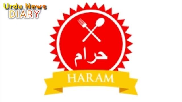 Oreo Biscuits Are Haram In Islam - Here Is The Proof | Must Watch Before Eating Oreo Biscuits!! смотреть онлайн