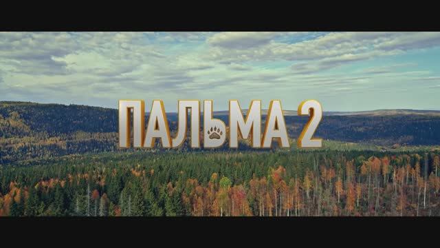 Пальма 2 (2025) Трейлер смотреть онлайн