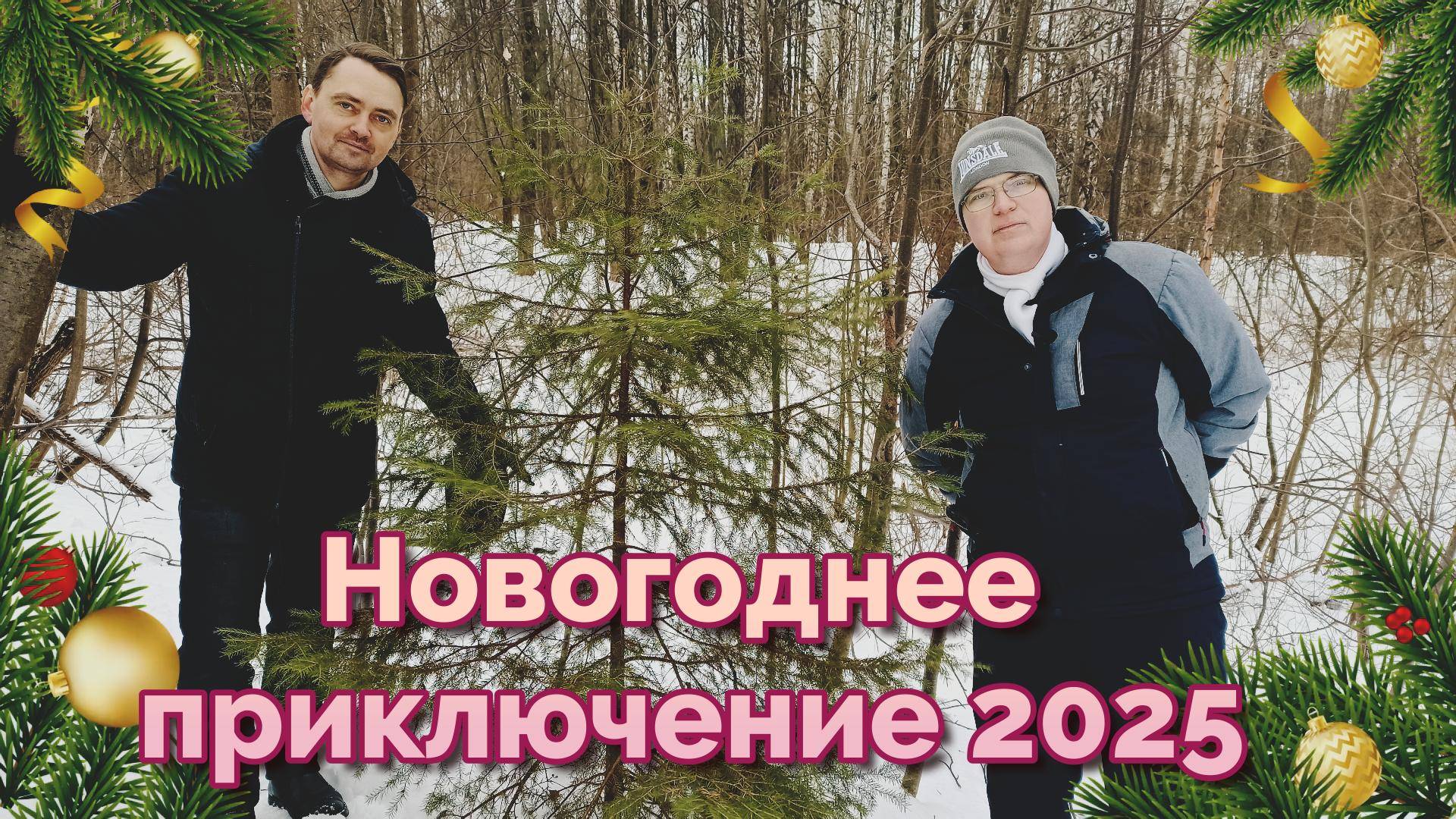 Новогоднее приключение 2025