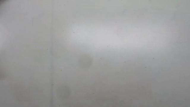 Мешок № 1010022. Обувь. ЛЕТО. Австрия. Арт 3057. Секонд хенд. Вес 29 кг. Кол-во 65 шт. смотреть онлайн