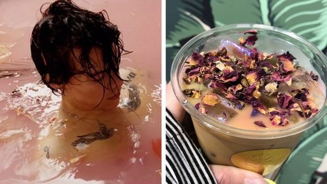 I Tried The Harry Styles Latte смотреть онлайн