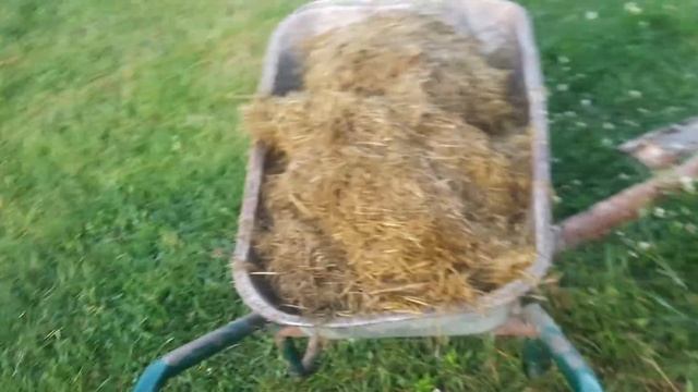 економ пакування сінажу смотреть онлайн