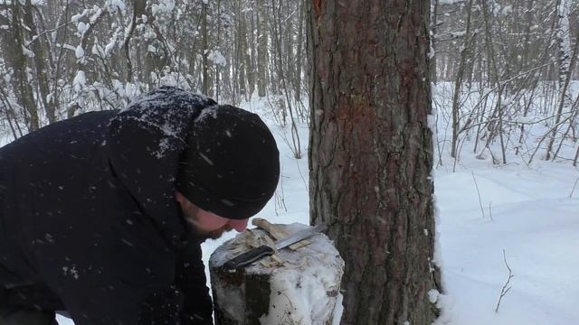 Нож BASTARDO Sleipner Kizlyar Supreme. Уличный тест
