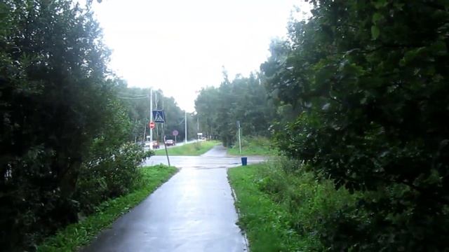 Крысята | Поездка за мечтой. Мокрый Росс, и супер переноска. (Fancy\Wild Rats) смотреть онлайн