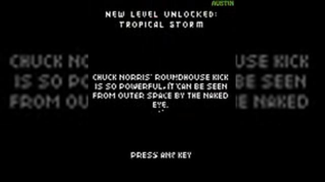 Chuck Norris - Bring on the Pain смотреть онлайн