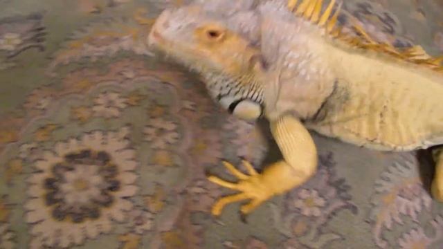 Мальчик и Дима 2 смотреть онлайн