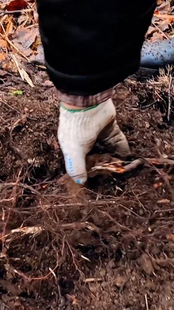 В поисках металлолома #металлоискатель смотреть онлайн