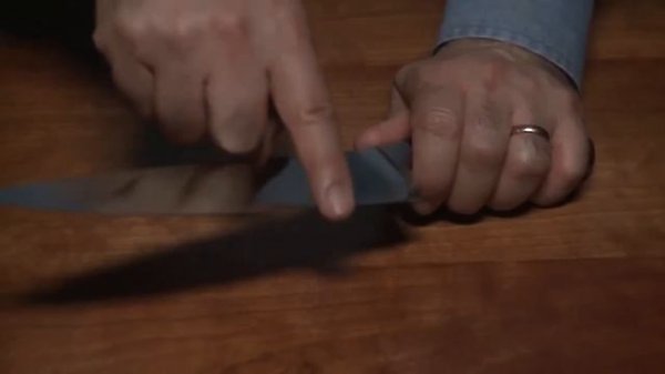 Электрическая точилка для ножей Chefs Choice