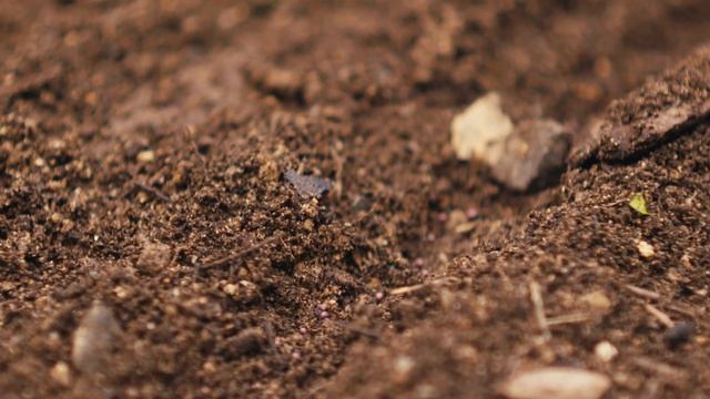 산골에 새 봄이 오면 смотреть онлайн