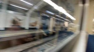 ФЛ. Поездка на поезде Москва 2.0 от Кунцевской до Александовского сада. Полный маршрут.