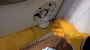 Remove & Clean filter - BOSCH Serie 4 VarioPerfect EcoSilence Drive