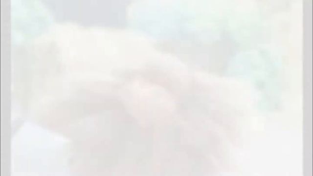 KH Trade Mistakes смотреть онлайн