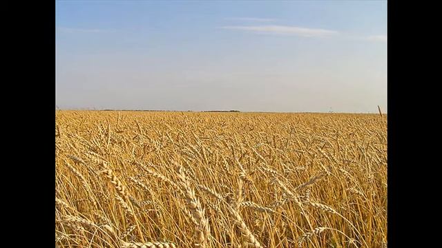 Край родной смотреть онлайн