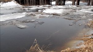 Река Лепша ледоход