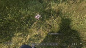 Гайд по выживанию.  Добыча еды и воды.  DayZ Standalone 1.10