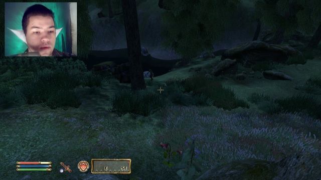 The Elder Scrolls IV:Oblivion №108 Много воющих Некромантов и ничего не подозревающие Вампиры смотреть онлайн