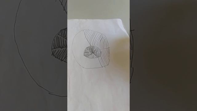 медицинская услуга или медицинская помощь, в чем разница