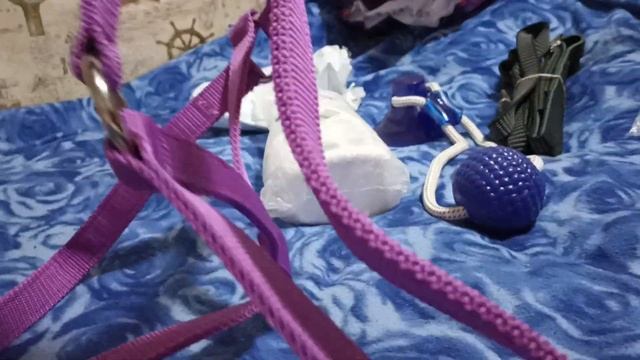 наши обновки😝(2) смотреть онлайн