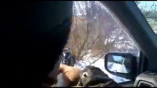 Отстрел сорок смотреть онлайн