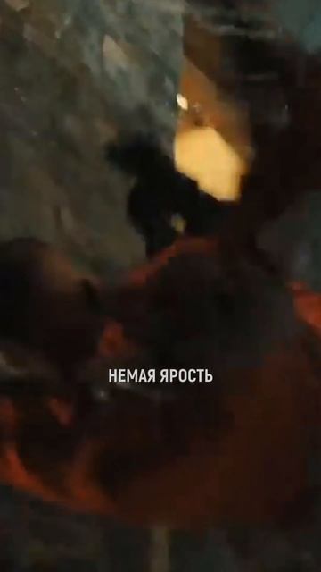 Новые фильмы декабря 2023 смотреть онлайн