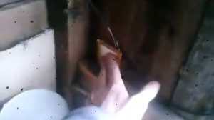 Проводим свет в туалет