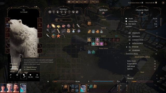 BG3 DRUID levels 1-4 In Depth Look of Both Circles Land and Moon, with Wild Shapes and Spells смотреть онлайн