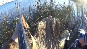 ОХОТА НА УТОК НА ВОЛГЕ/ ОСЕНЬЮ. Новые места УДАЧНАЯ ОХОТА....