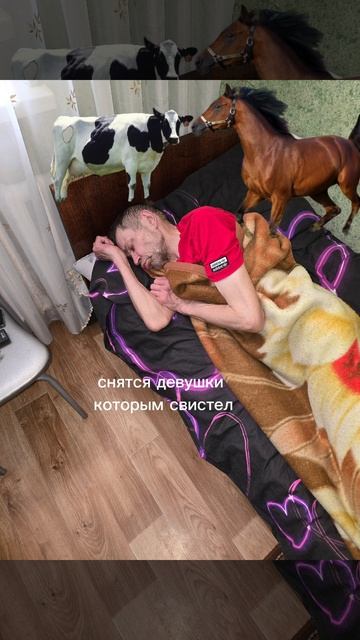 #мажор на связи смотреть онлайн