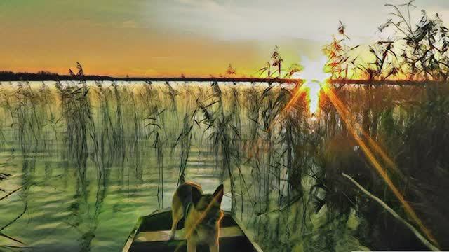 Как поймать диких раков на Селигере перед ледоставом