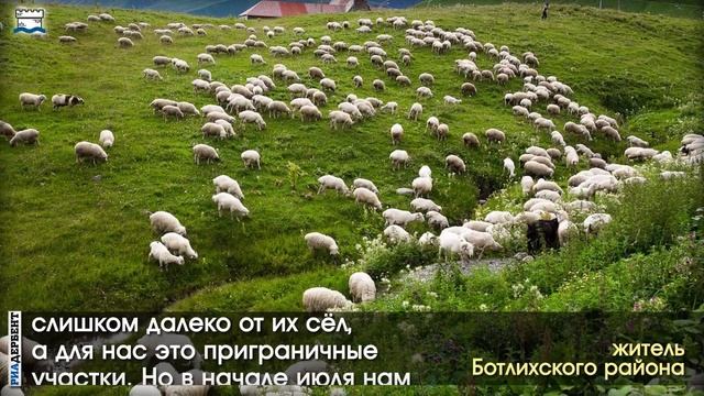 Чечня Дагестан . Дагестанских пастухов выдворяют из Чечни и сжигают их лачуги смотреть онлайн