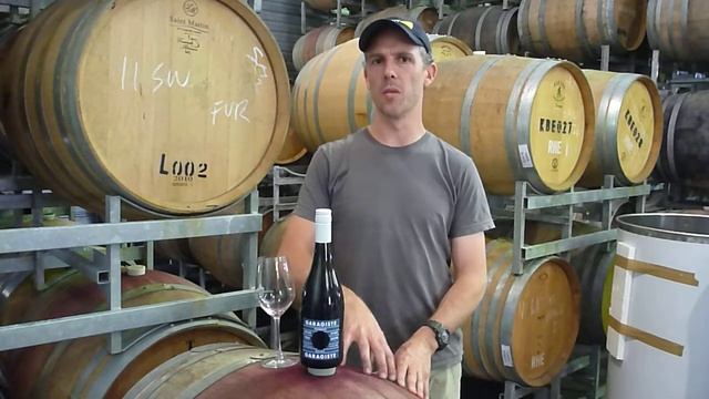 Garagiste Syrah Video.MOV смотреть онлайн
