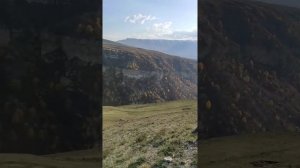 Чечня (Вай Дай, вай Де Де Дай)