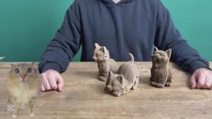 Сборка модели Три Кота