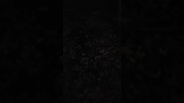 Fenix CL26R lantern смотреть онлайн