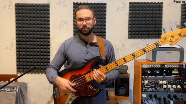 Обзор бас гитары Fresher Personal Bass