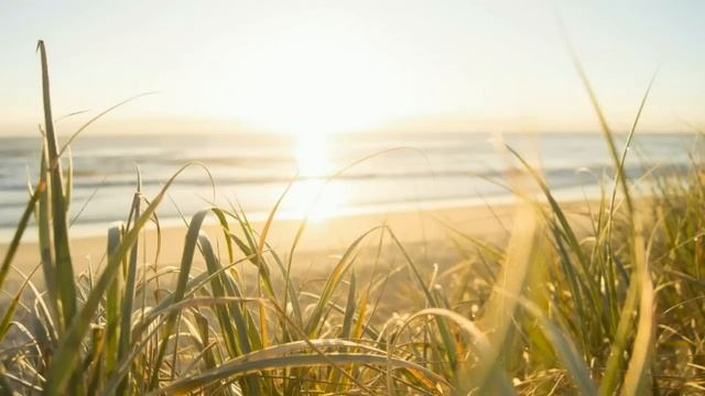 Всё это ради счастья