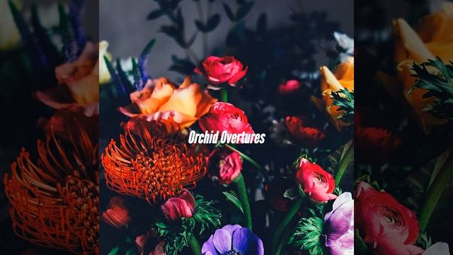 Inspiring Moods for Iced Double Americano смотреть онлайн