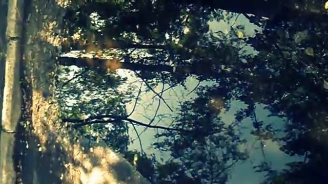 Солнечные воробьи смотреть онлайн